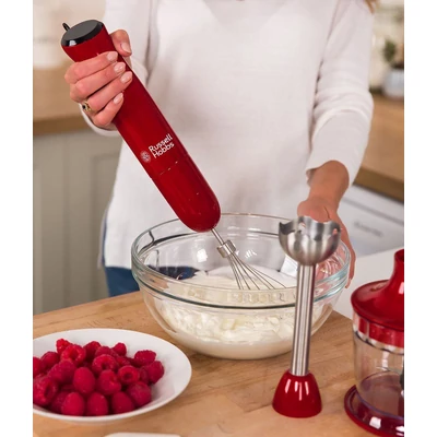 Russell Hobbs 24700-56 Desire 3in1 botmixer